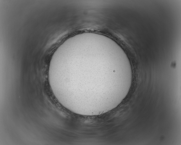 X0000116331399200912221410