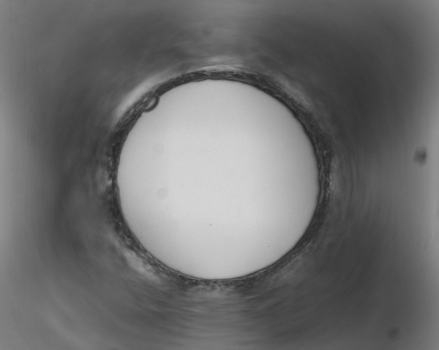 X0000116331400200912221410