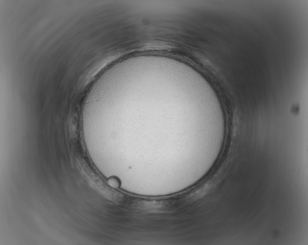 X0000116331401200912221410