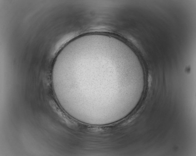 X0000116331405200912221410