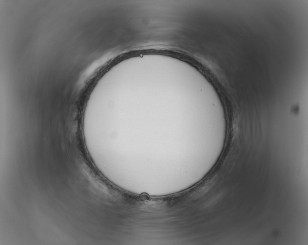 X0000116331406200912221410