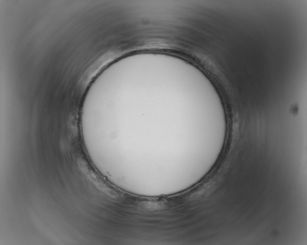 X0000116331409200912221410