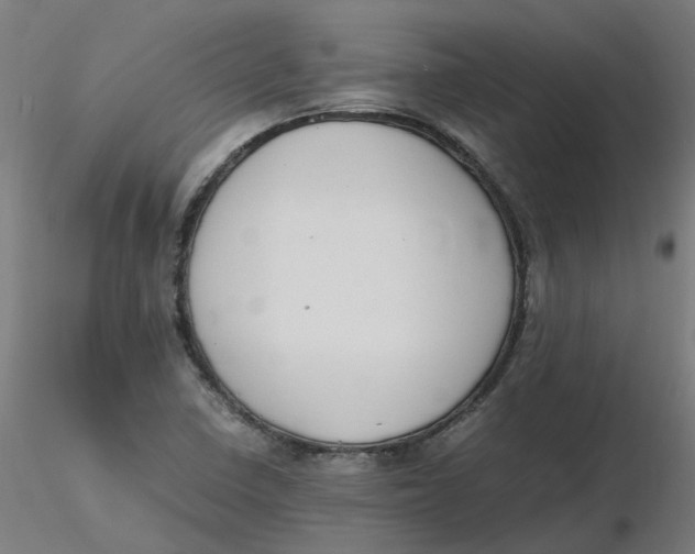 X0000116331410200912221410