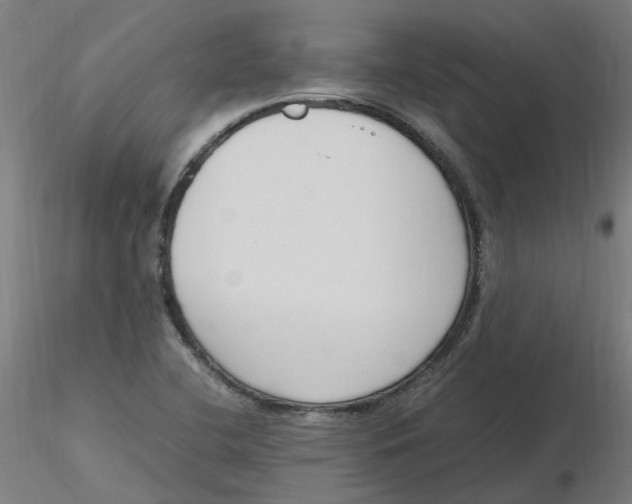 X0000116331412200912221410