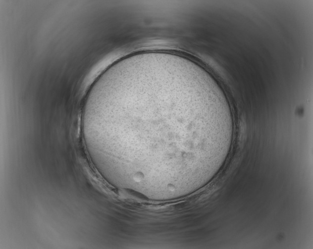 X0000116331413200912221410