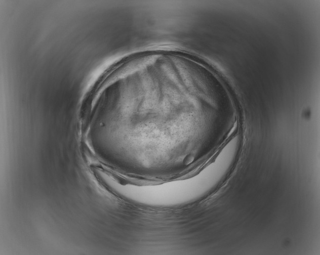 X0000116331414200912221410