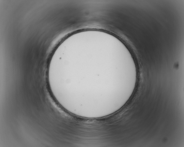 X0000116331416200912221410