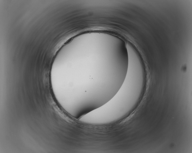 X0000116331417200912221410