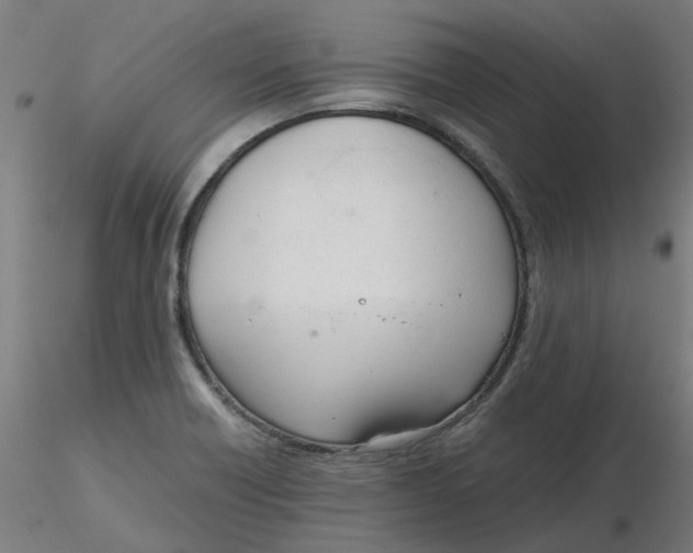 X0000116331418200912221410