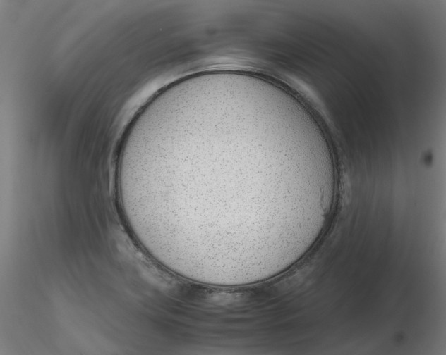 X0000116331419200912221410