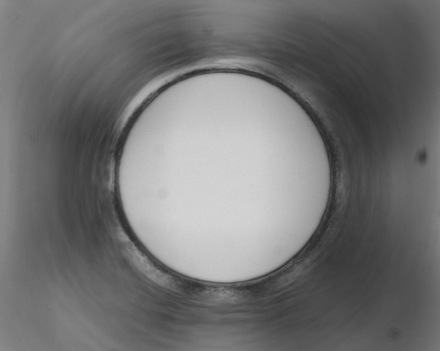 X0000116331420200912221410