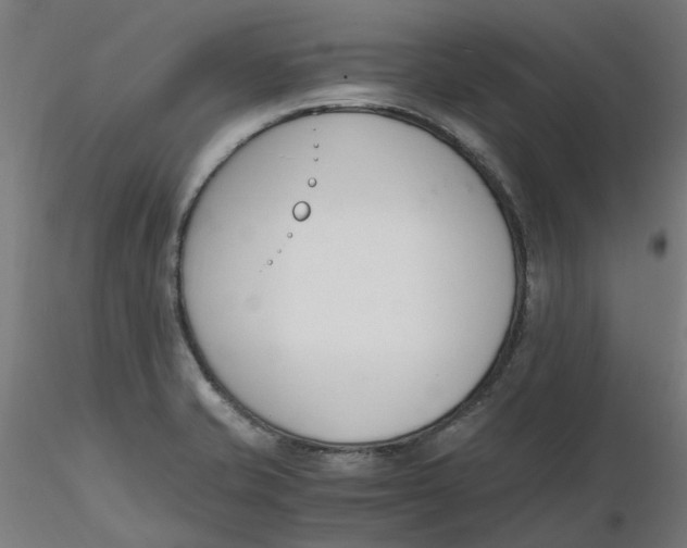 X0000116331421200912221410