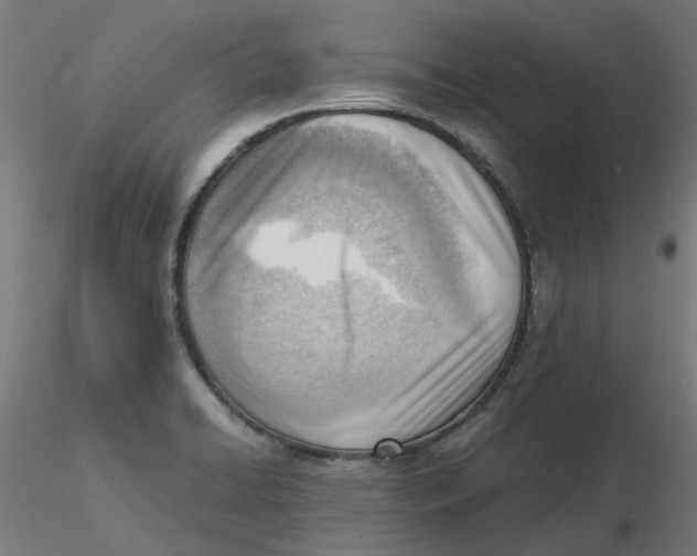 X0000116331422200912221410