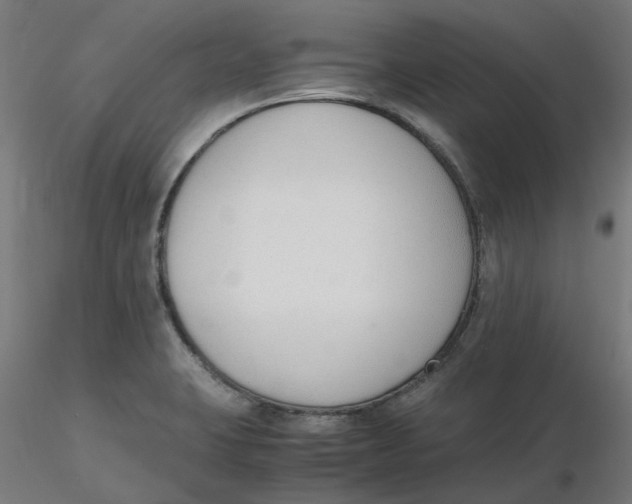 X0000116331423200912221410