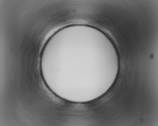 X0000116331424200912221410