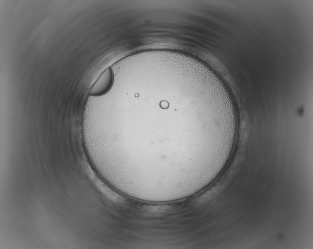 X0000116331425200912221410