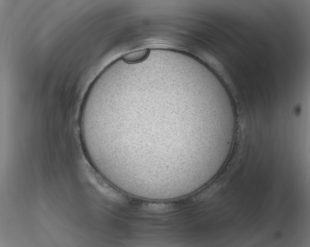 X0000116331427200912221410