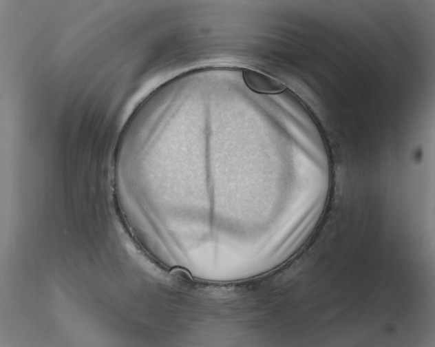 X0000116331428200912221410