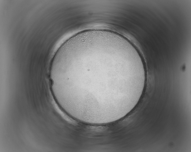 X0000116331429200912221410