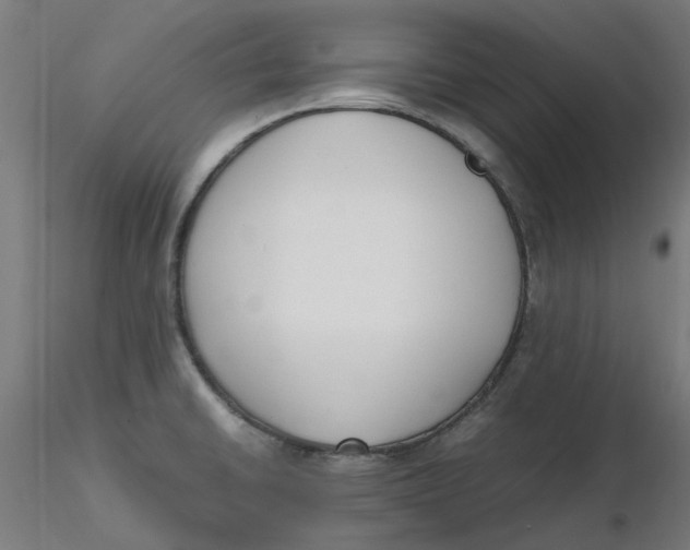 X0000116331430200912221410