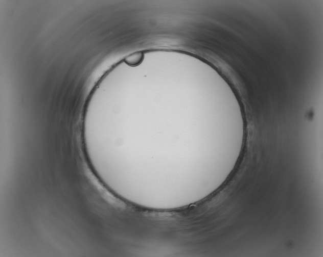 X0000116331432200912221410