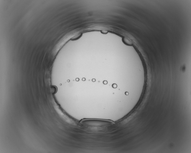 X0000116331433200912221410