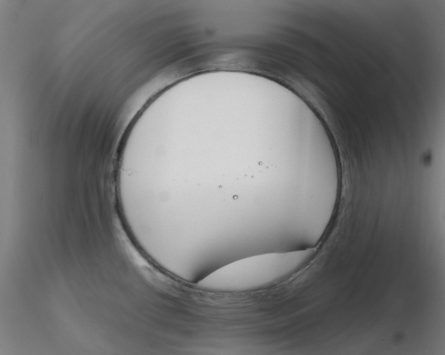 X0000116331434200912221410