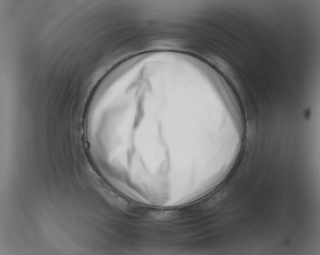 X0000116331435200912221411