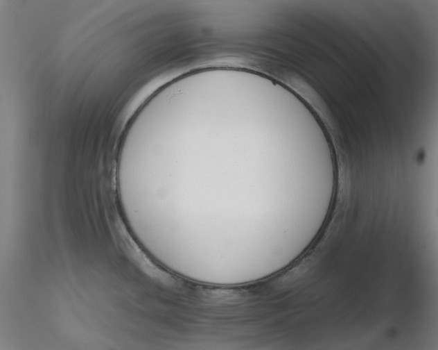 X0000116331436200912221411