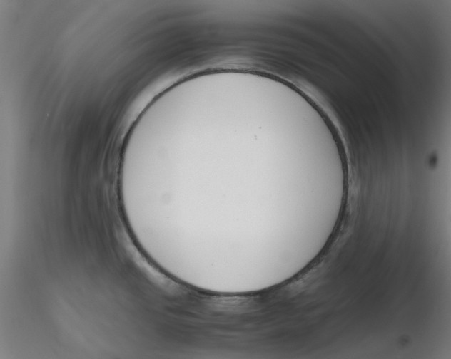 X0000116331437200912221411