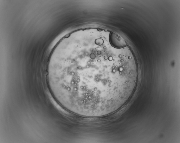 X0000116331438200912221411