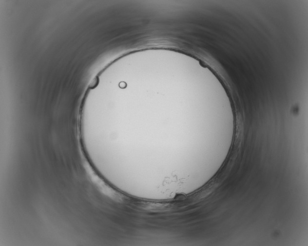 X0000116331439200912221411