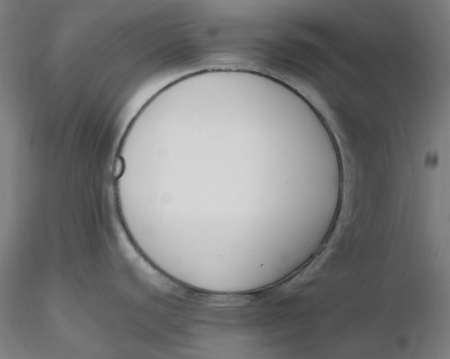 X0000116331440200912221411