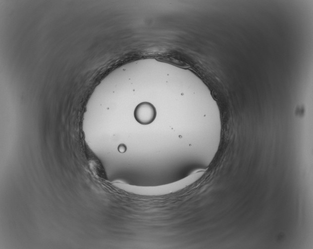 X0000116331441200912221410