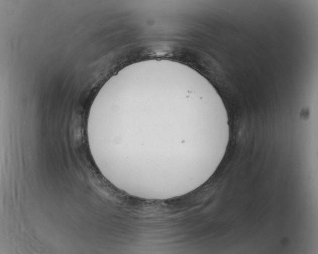 X0000116331442200912221410