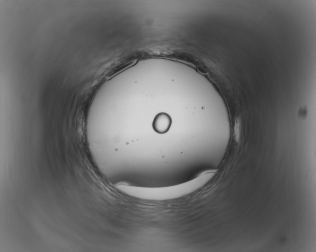 X0000116331444200912221410