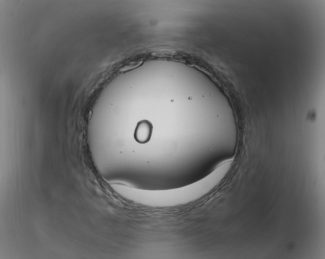 X0000116331445200912221410