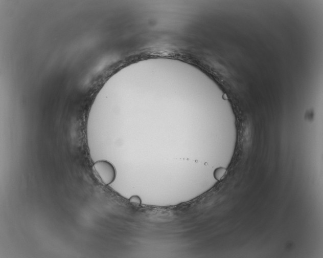 X0000116331446200912221410