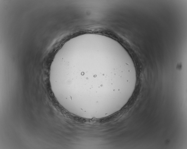 X0000116331447200912221410