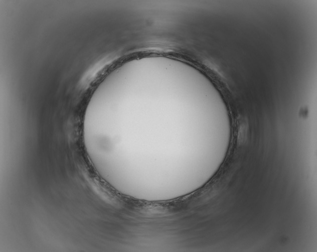 X0000116331448200912221410