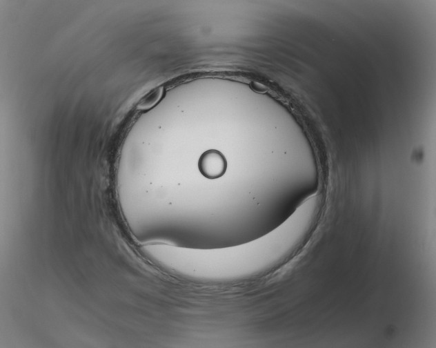 X0000116331449200912221410