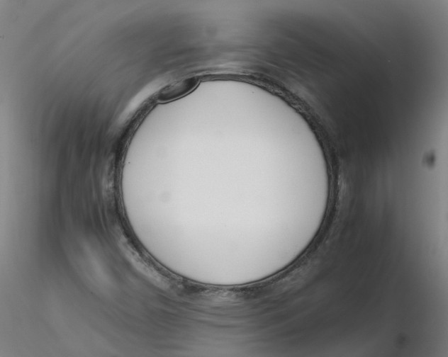 X0000116331450200912221410