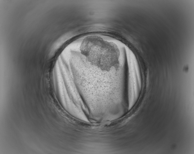 X0000116331453200912221410