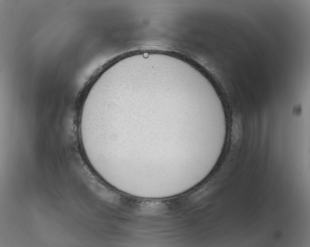 X0000116331454200912221410