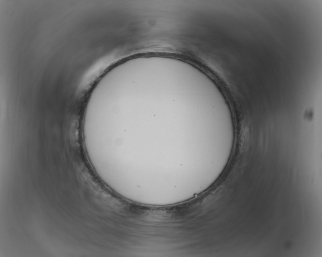 X0000116331455200912221410