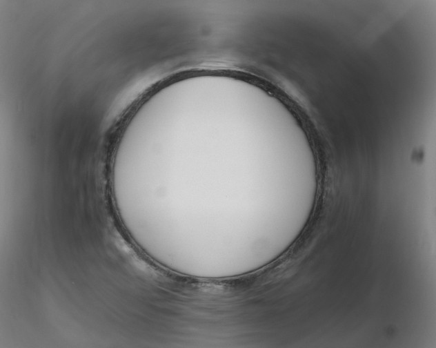 X0000116331456200912221410