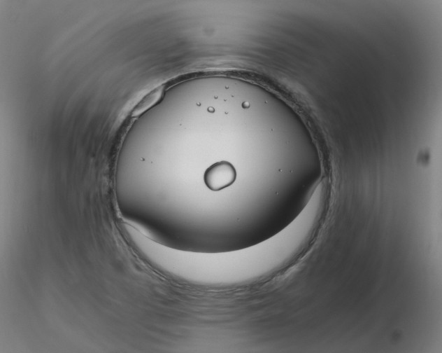 X0000116331457200912221410