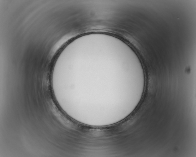 X0000116331458200912221410