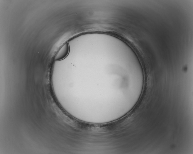 X0000116331459200912221410