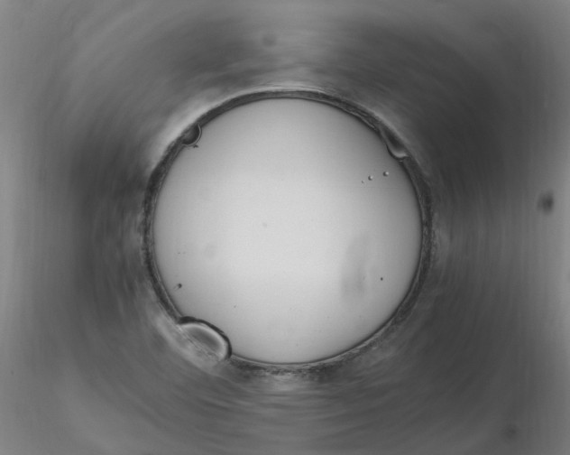 X0000116331460200912221410